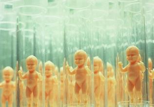 案例